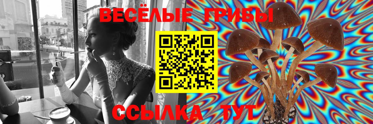 Галлюциногенные грибы MAGIC MUSHROOMS  купить   Полысаево  Вход с VPN  Псилоцибиновые грибы Psilocybine cubensis 